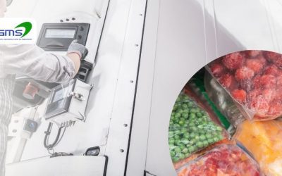 Control de temperatura en transporte refrigerado: clave para evitar pérdidas y optimizar tu logística